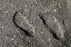Füße auf Humus - Dieses Kippbild kann einerseits konkav als Fußeindrücke im Humus, andererseits konvex als sich erhebend modellierte Fußspuren gesehen werden und symbolisiert unseren widersprüchlichen Umgang mit fruchtbarem Boden.- © Ruth Maria Wallner